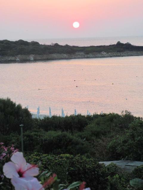 La Casa Di Teresa-villetta A 50 Mt Dal Mare Holiday home