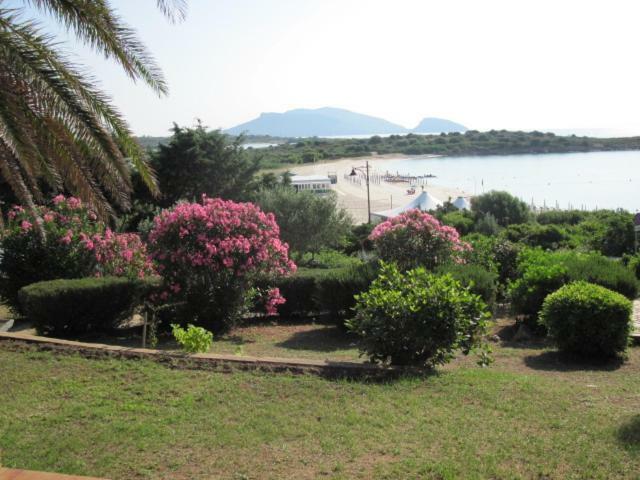 La Casa Di Teresa-villetta A 50 Mt Dal Mare *