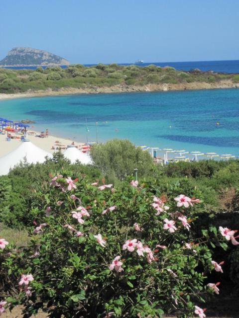 Ferienhaus La Casa Di Teresa-villetta A 50 Mt Dal Mare *
