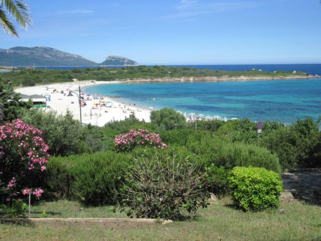 Ferienhaus La Casa Di Teresa-villetta A 50 Mt Dal Mare *