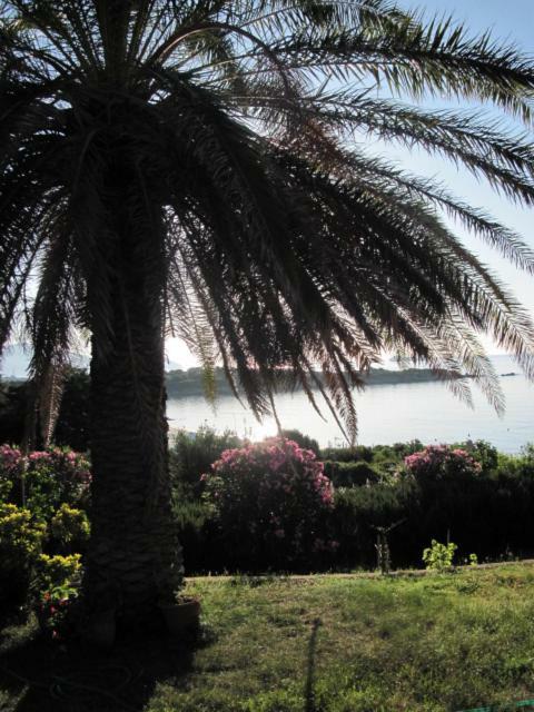 La Casa Di Teresa-villetta A 50 Mt Dal Mare Ferienhaus *