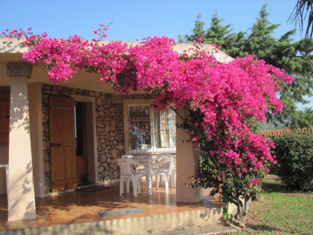 La Casa Di Teresa-villetta A 50 Mt Dal Mare Olbia