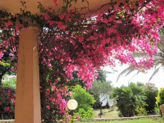 Ferienhaus La Casa Di Teresa-villetta A 50 Mt Dal Mare *