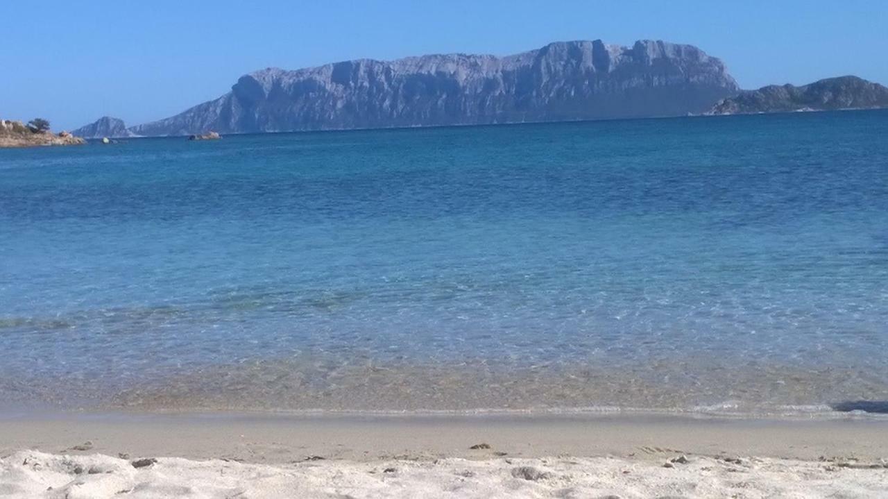 La Casa Di Teresa-villetta A 50 Mt Dal Mare *