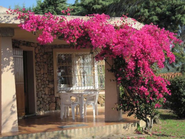 Ferienhaus La Casa Di Teresa-villetta A 50 Mt Dal Mare Olbia