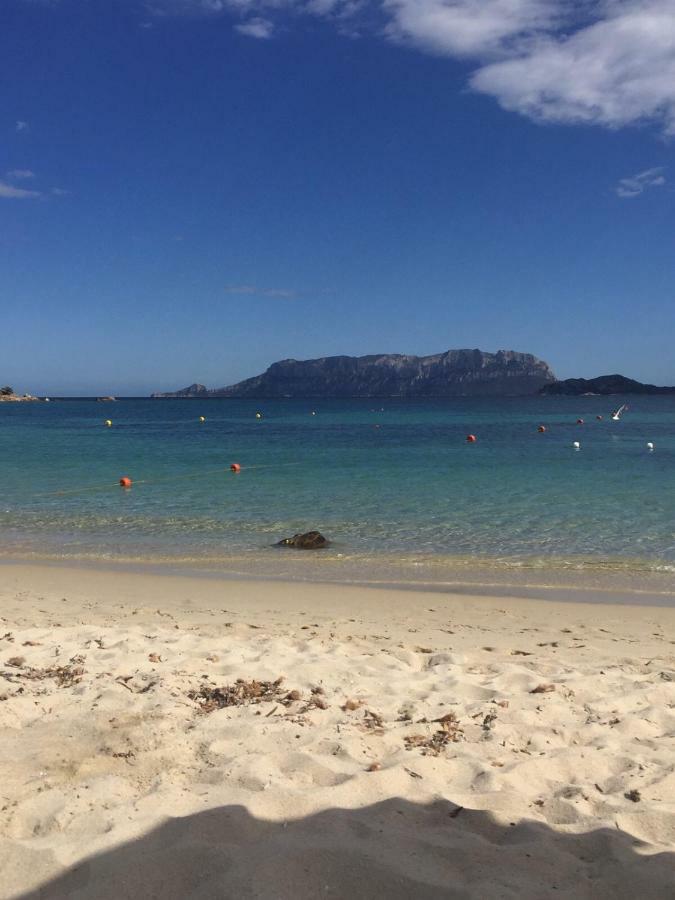 Ferienhaus La Casa Di Teresa-villetta A 50 Mt Dal Mare